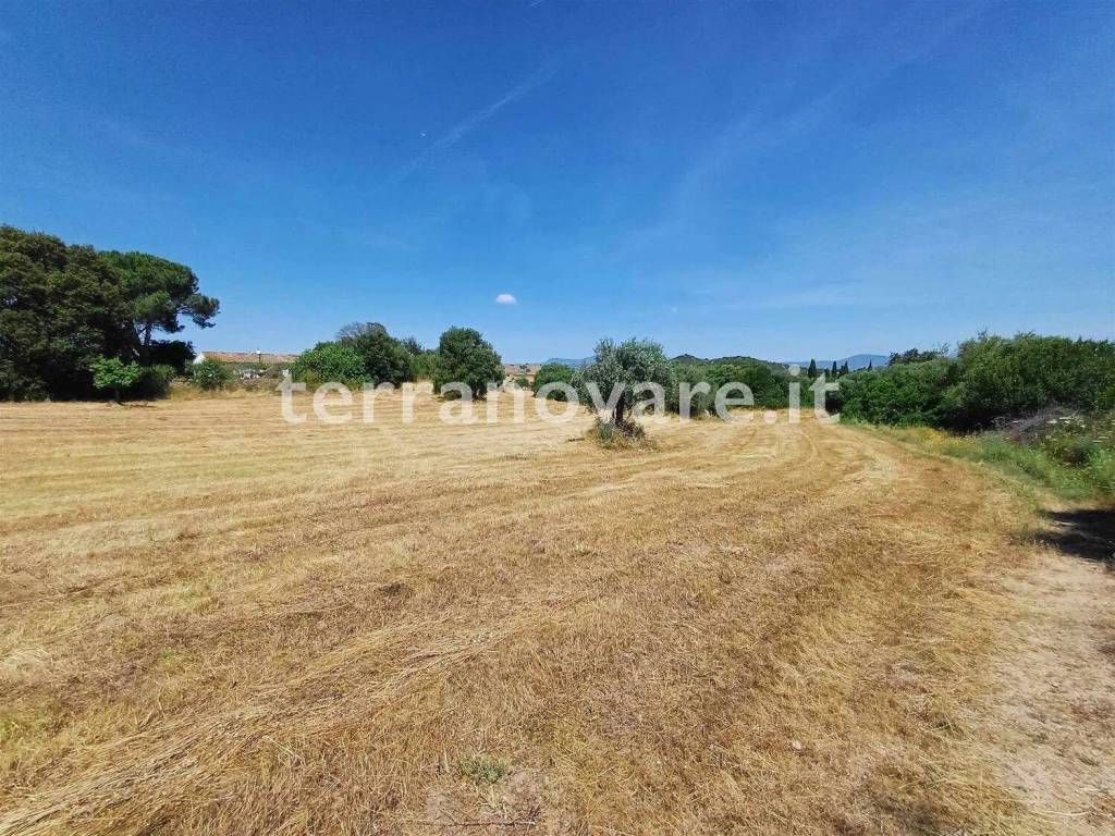 Terreno a Loiri porto san paolo in Strada Provinciale 87 S.N.C. - Foto 2