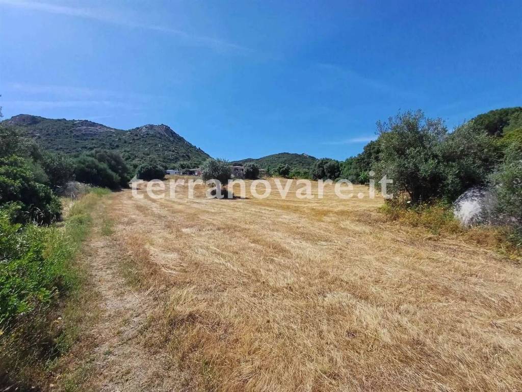 Terreno a Loiri porto san paolo in Strada Provinciale 87 S.N.C. - Foto 3