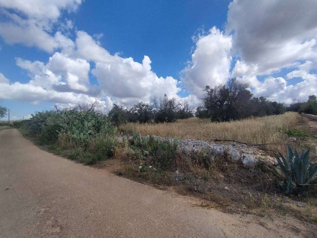 Terreno a Ugento in C.da Masseria Vecchia, snc - Foto 3