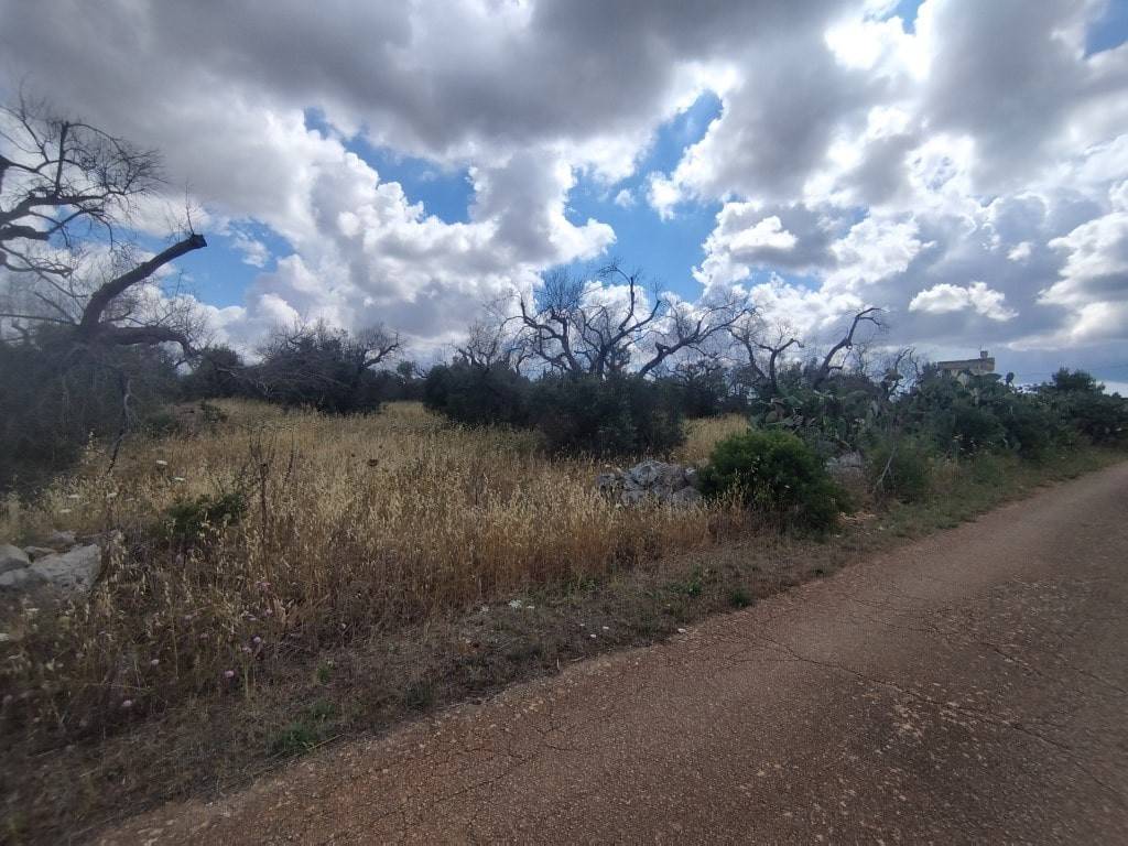 Terreno a Ugento in C.da Masseria Vecchia, snc - Foto 4