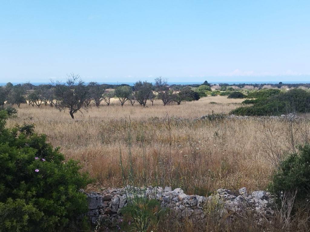 Terreno a Ugento in C.da Masseria Vecchia, snc - Foto 5