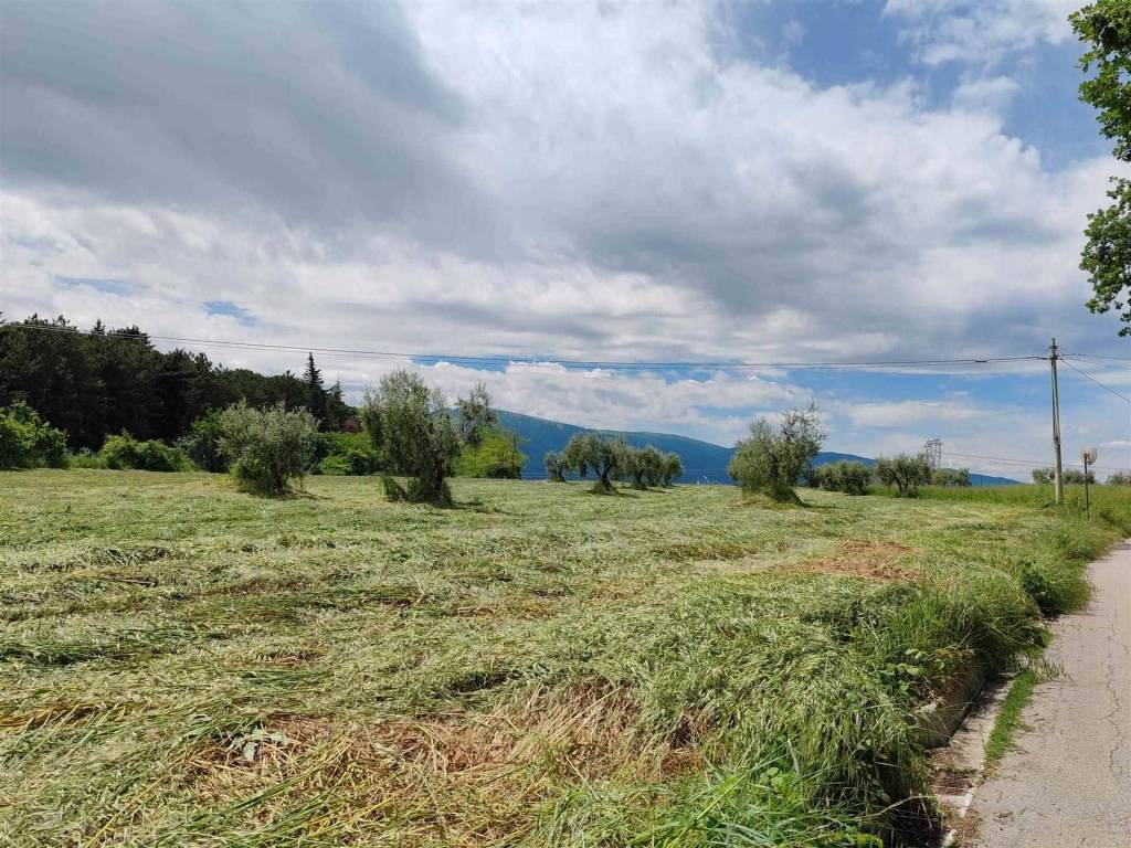 Terreno a Orsogna - Foto 2