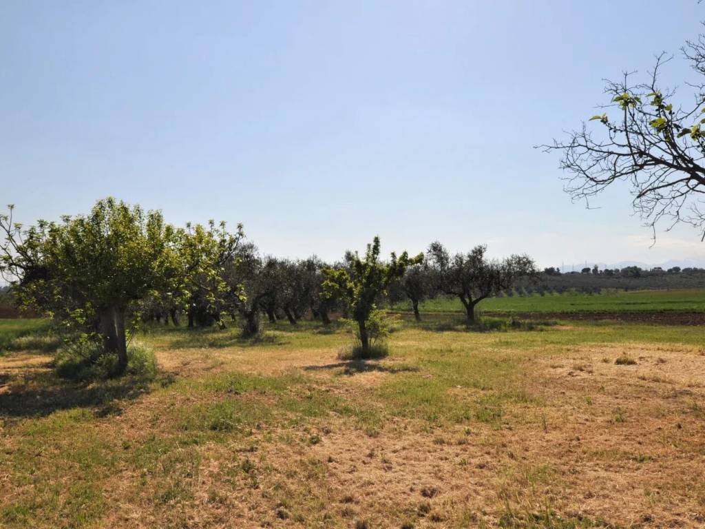 Terreno a Spoltore in Via Monte Cervino No Number - Foto 3