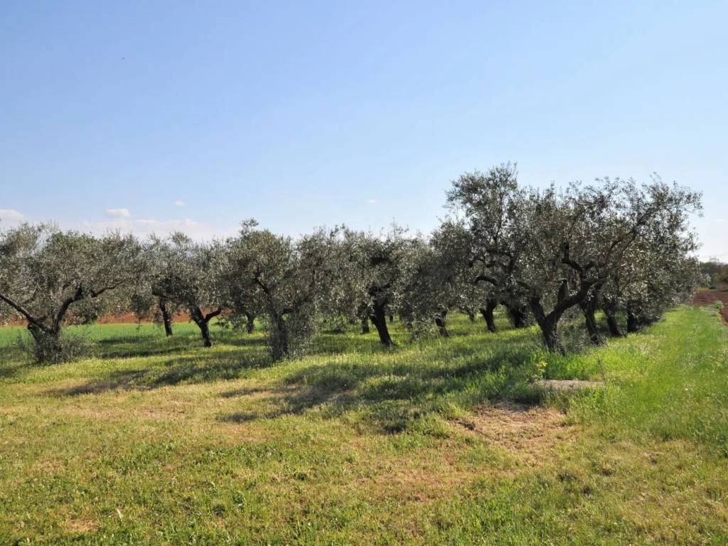 Terreno a Spoltore in Via Monte Cervino No Number - Foto 4