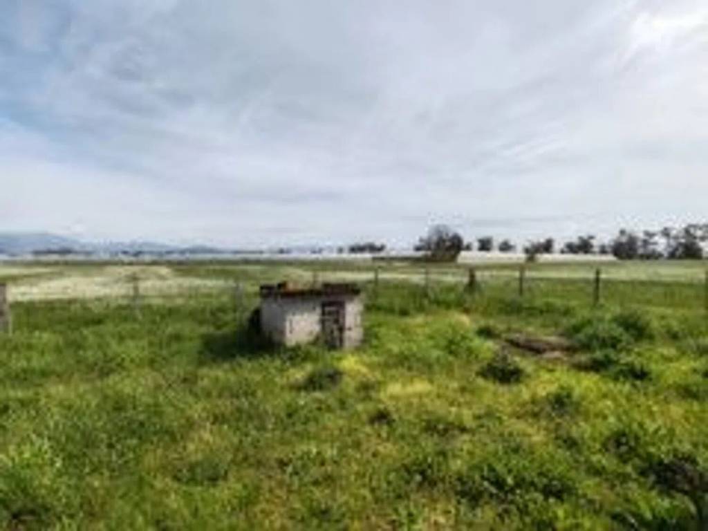 Villa a Sabaudia in Strada Del Confine, 24 - Foto 5