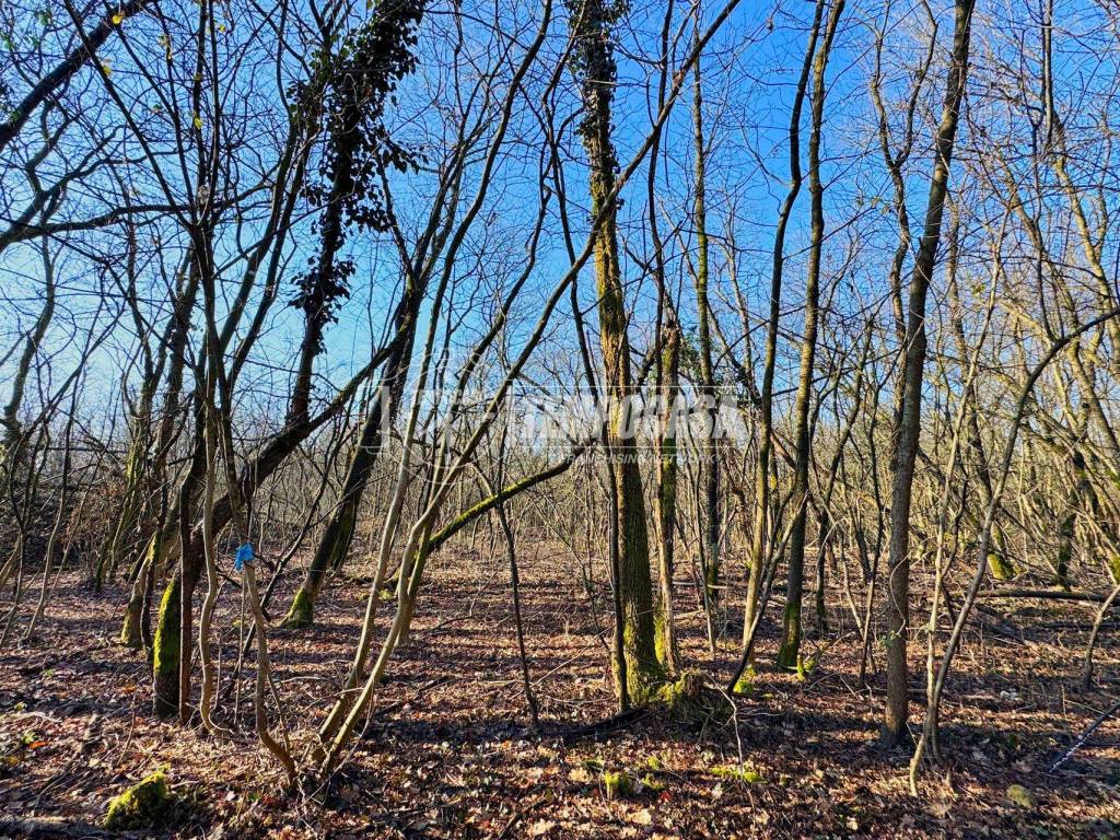 Terreno a Galliate in Strada Vicinale del Piaggio - Foto 2