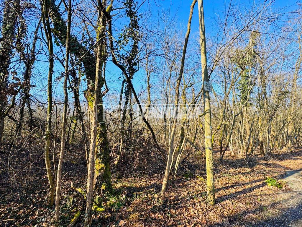 Terreno a Galliate in Strada Vicinale del Piaggio - Foto 3