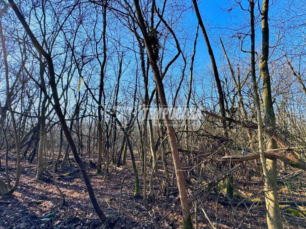 Terreno a Galliate in Strada Vicinale del Piaggio - Foto 4
