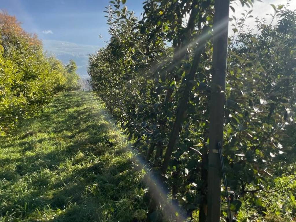 Terreno a Campodenno - Foto 2