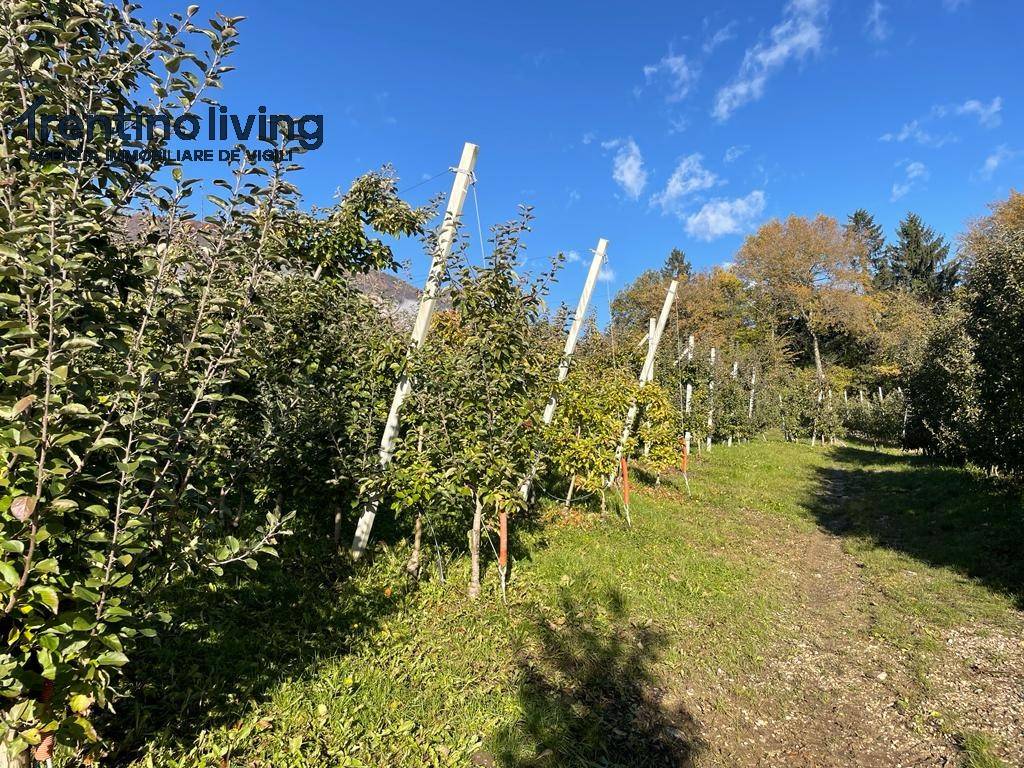 Terreno a Campodenno - Foto 4