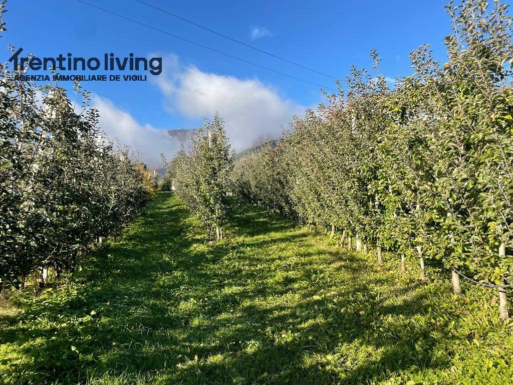 Terreno a Campodenno - Foto 5