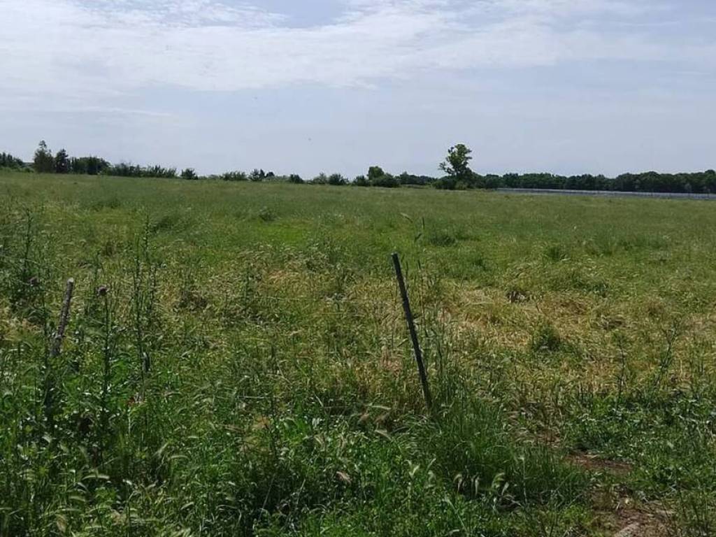 Terreno a Cisterna di latina in Via Piemonte - Foto 3