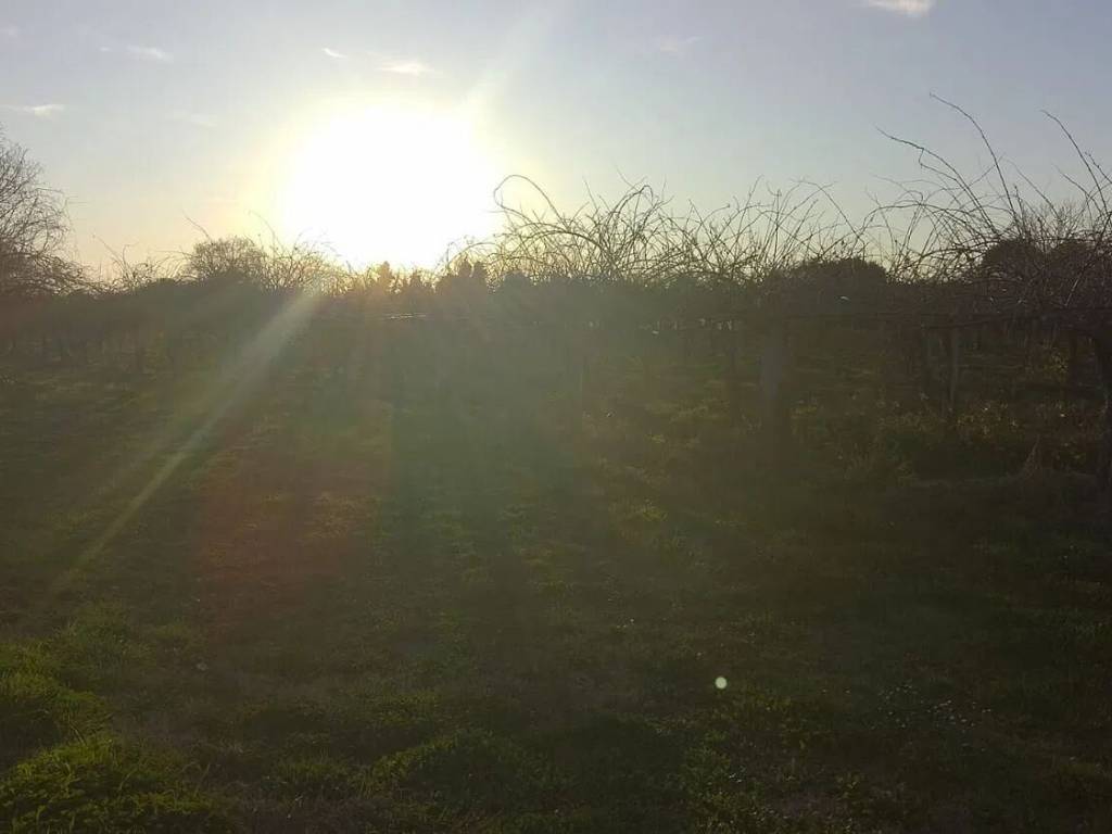 Terreno a Cisterna di latina - Foto 3