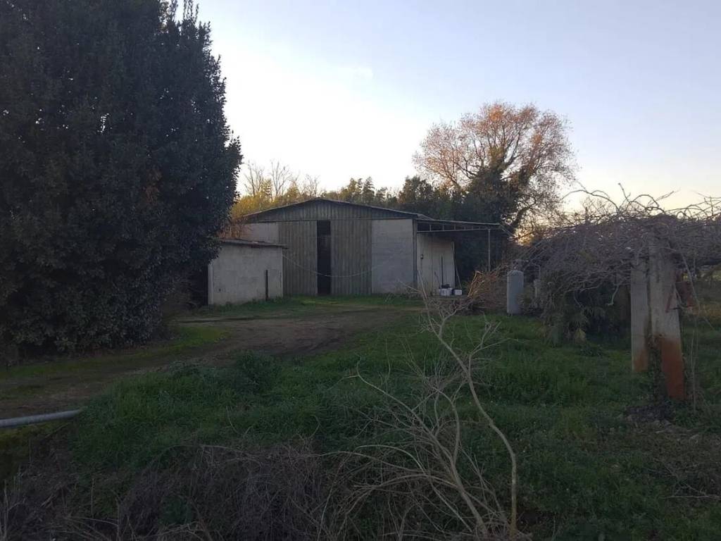 Terreno a Cisterna di latina - Foto 4
