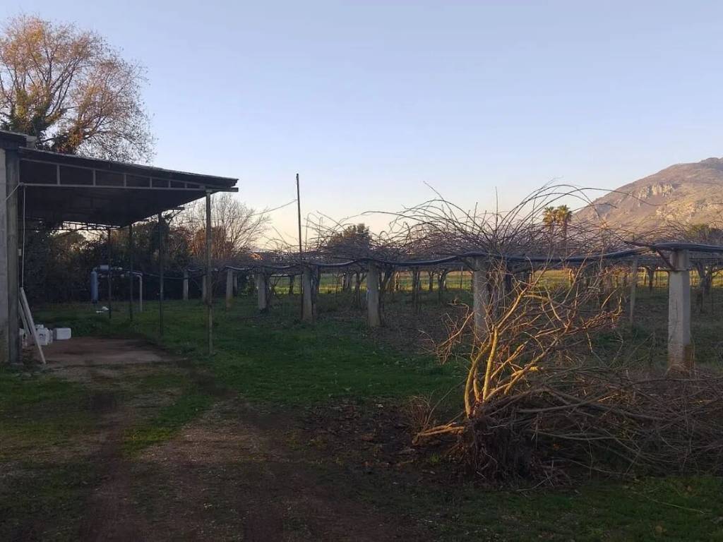 Terreno a Cisterna di latina - Foto 5