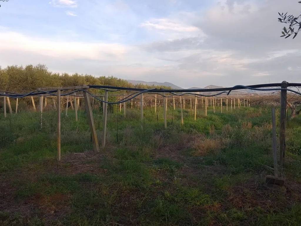 Terreno a Cisterna di latina in Via Virgilio - Foto 3