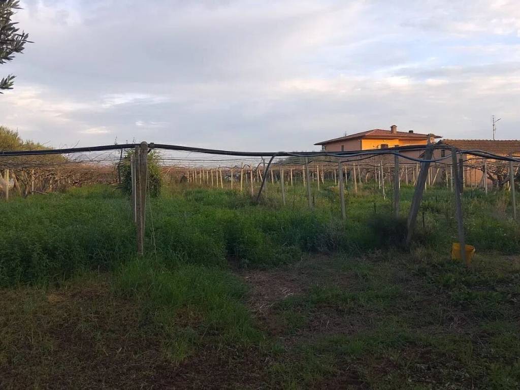 Terreno a Cisterna di latina in Via Virgilio - Foto 4