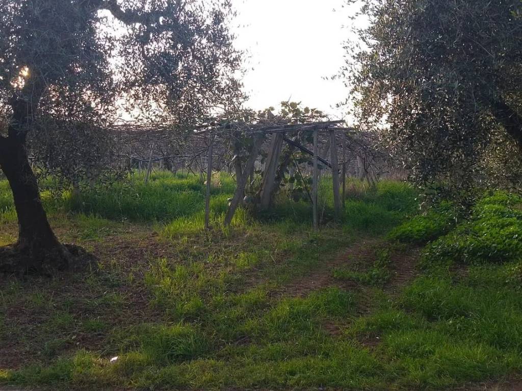 Terreno a Cisterna di latina in Via Virgilio - Foto 5