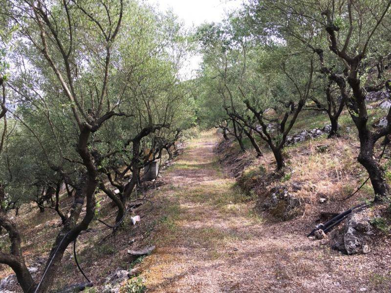 Terreno a Fondi in Via Mola di Vetere - Foto 4