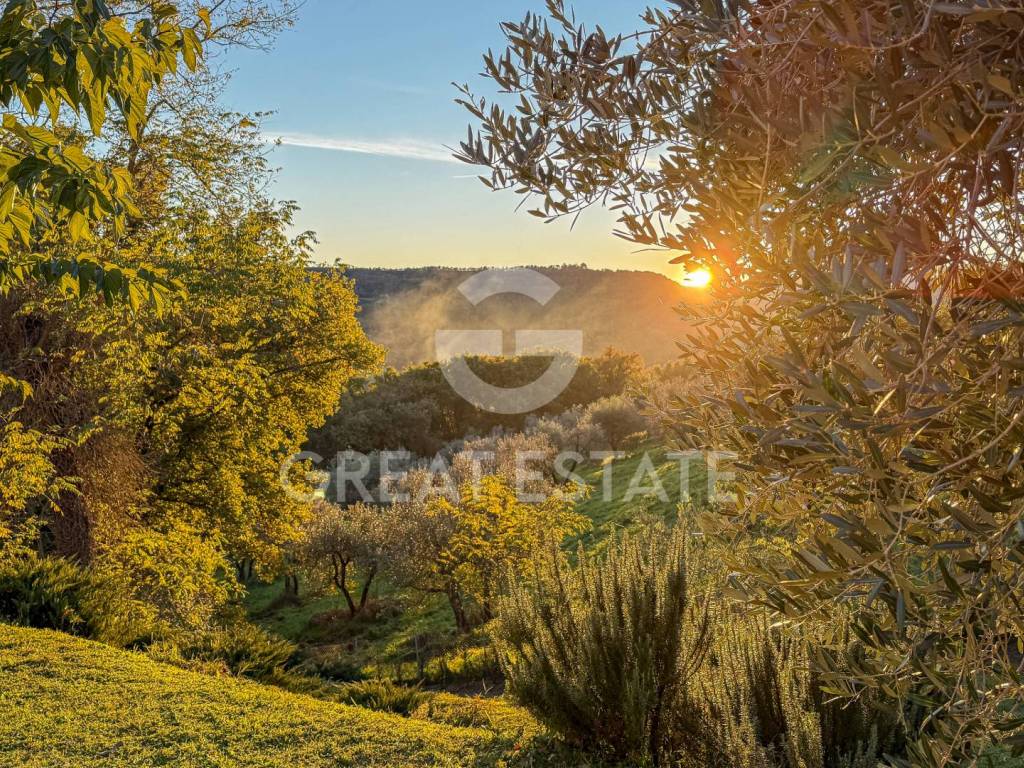 Rustico / casale a Orvieto - Foto 4