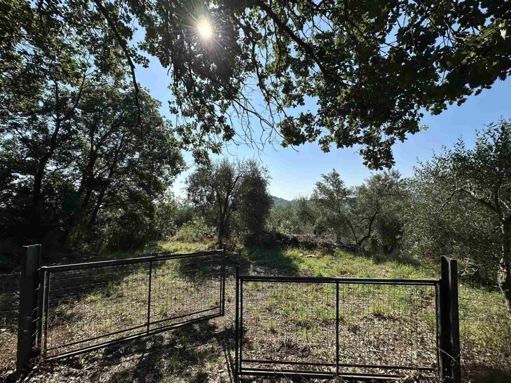 Terreno a Noli - Foto 5