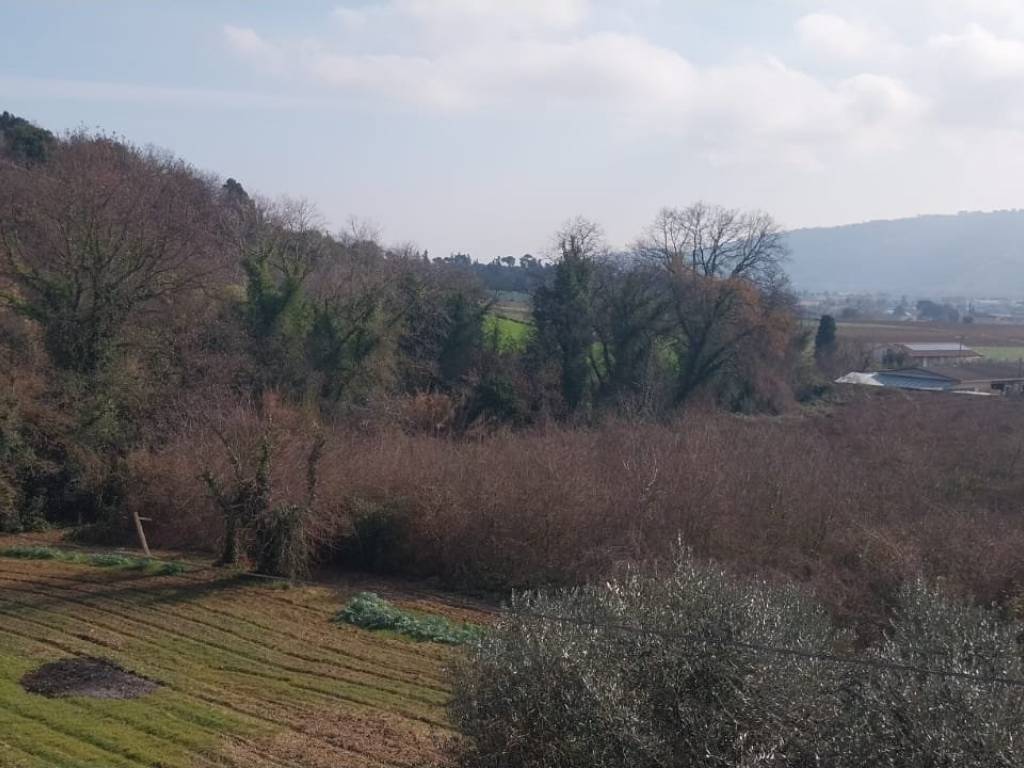 Appartamento a Monteprandone in Contrada Collenavicchio - Foto 3