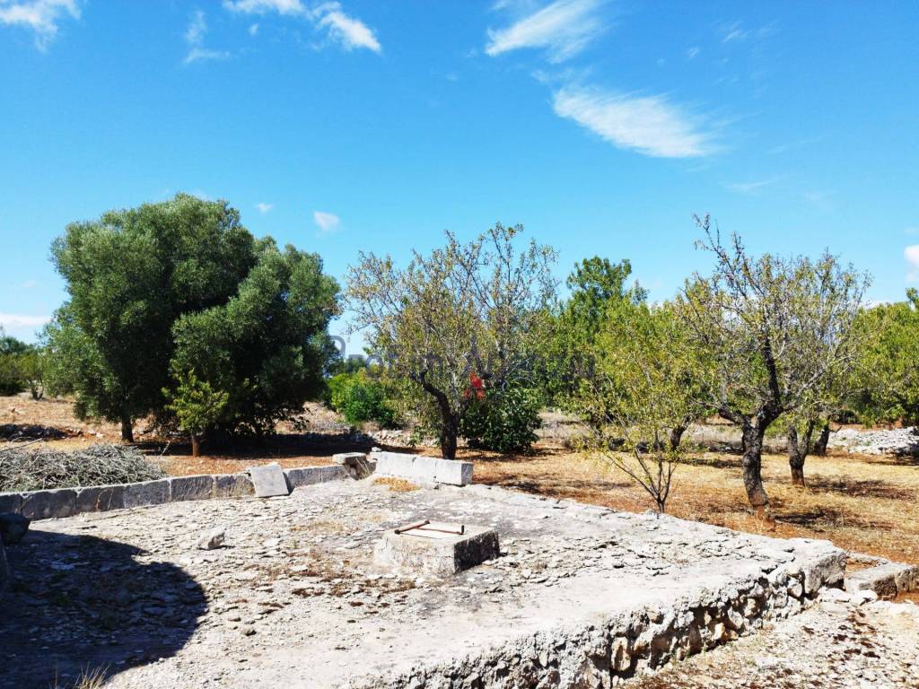 Rustico / casale a Carovigno - Foto 3