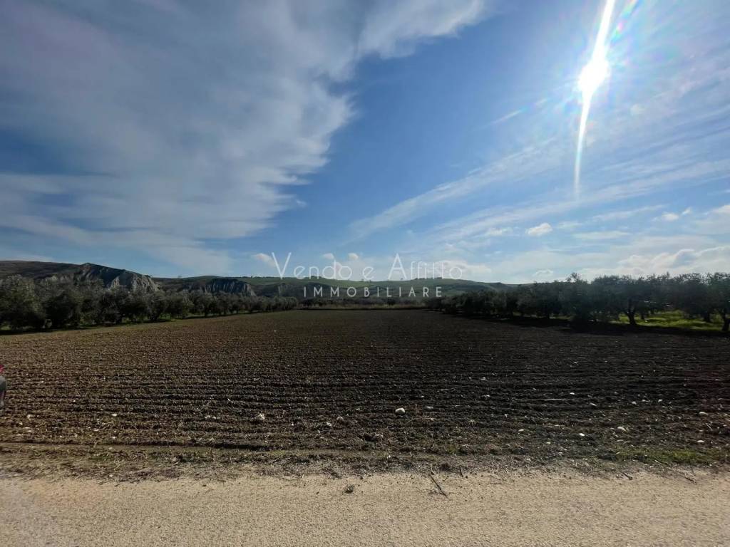 Terreno a San salvo - Foto 2