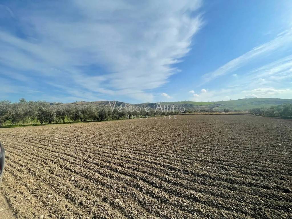 Terreno a San salvo - Foto 3