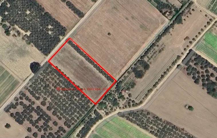 Terreno a San salvo - Foto 4