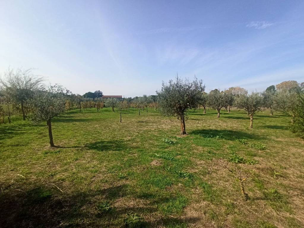Terreno a Castiglione del lago in Via Roma - Foto 2