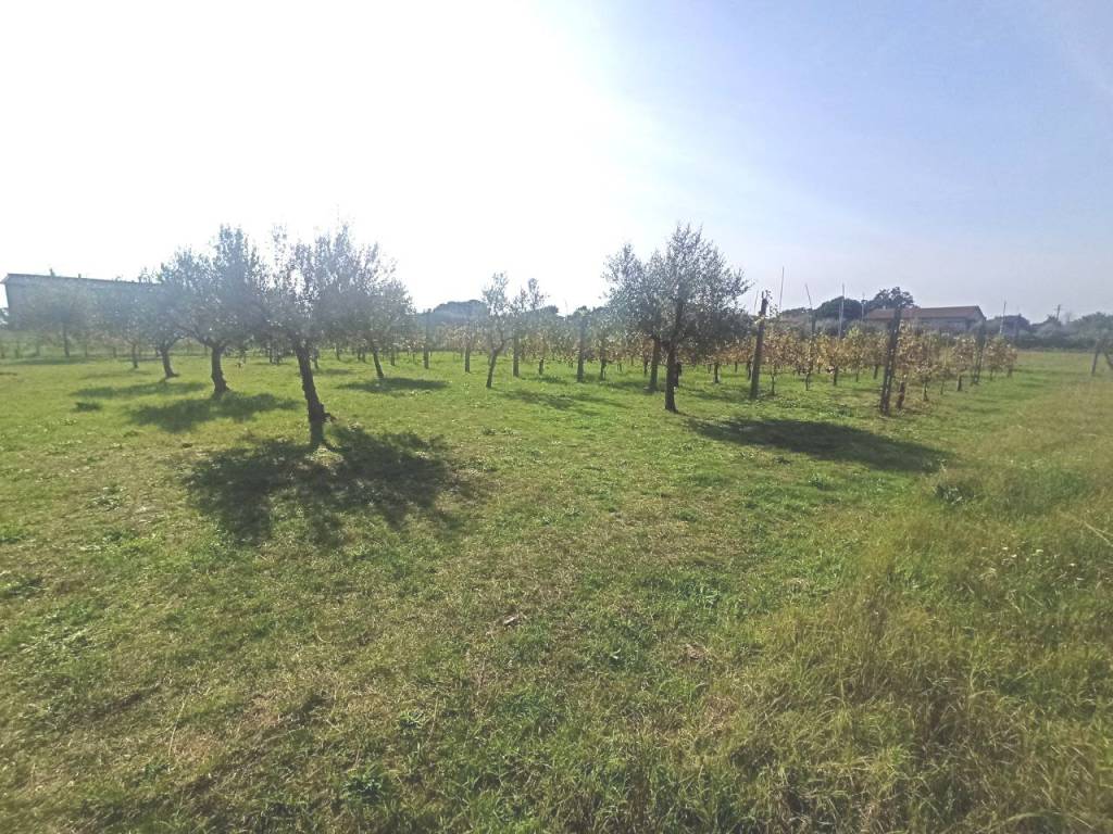 Terreno a Castiglione del lago in Via Roma - Foto 4