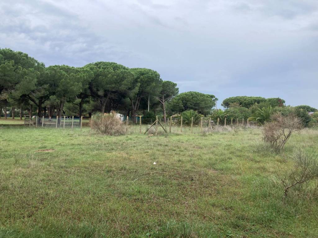 Terreno a Tarquinia in Strada del Mandrione delle Saline - Foto 2