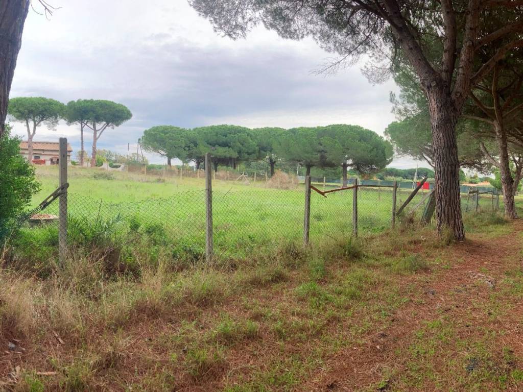 Terreno a Tarquinia in Strada del Mandrione delle Saline - Foto 3