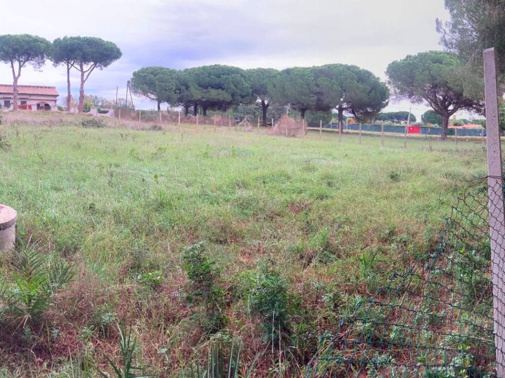 Terreno a Tarquinia in Strada del Mandrione delle Saline - Foto 4