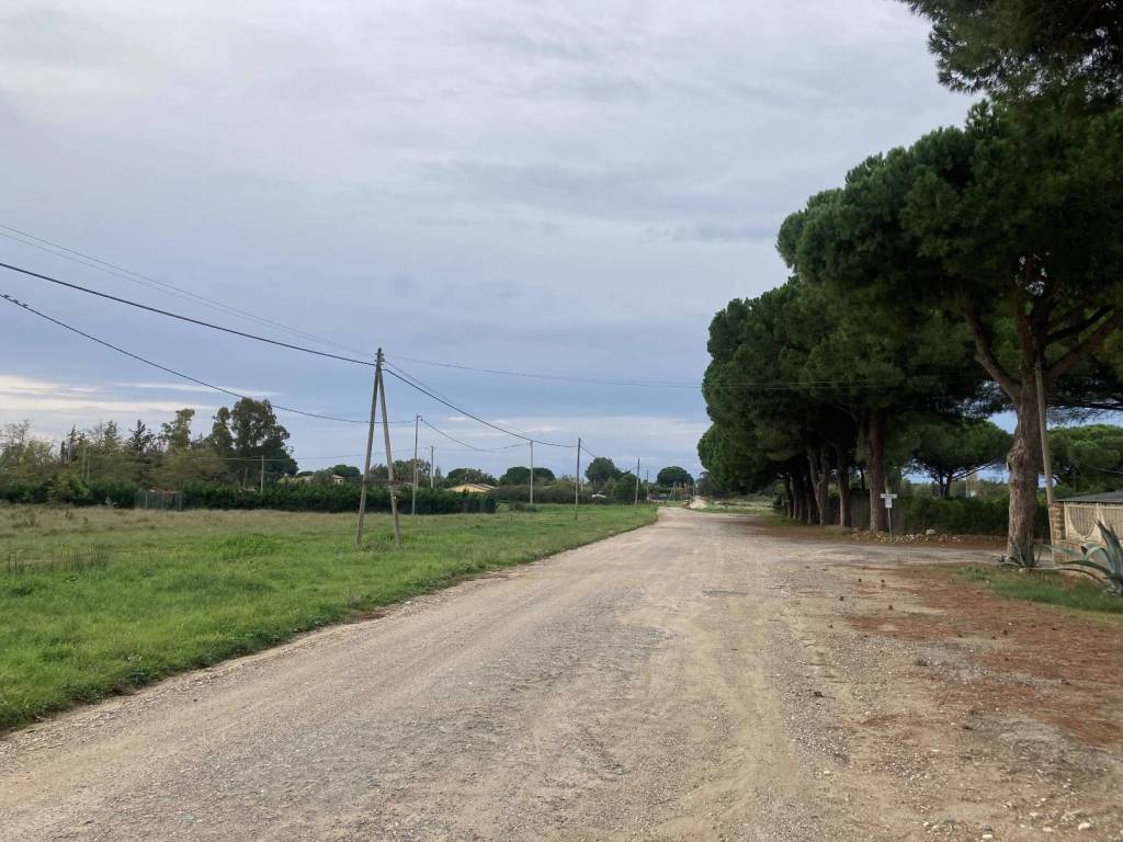 Terreno a Tarquinia in Strada del Mandrione delle Saline - Foto 5