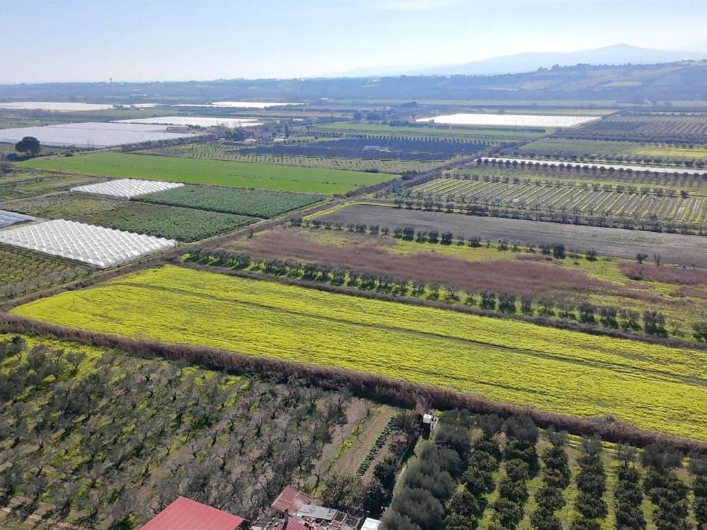 Terreno a Policoro - Foto 2