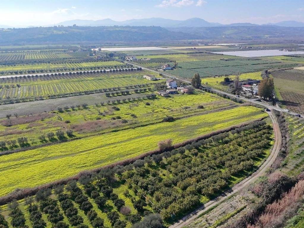 Terreno a Policoro - Foto 3