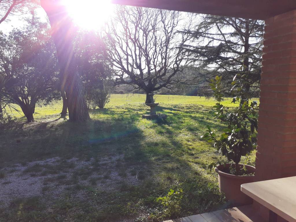Rustico / casale a Massa marittima - Foto 3