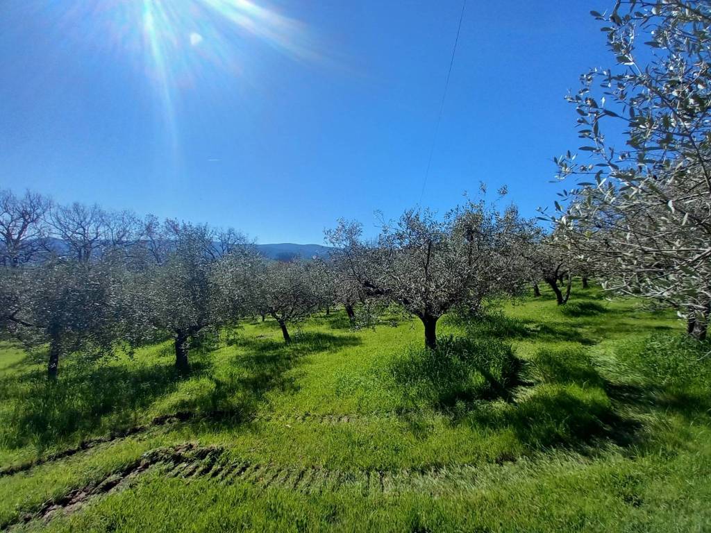 Rustico / casale a Bevagna in Via Limigiano - Foto 4