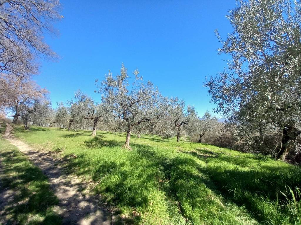 Rustico / casale a Bevagna in Via Limigiano - Foto 5