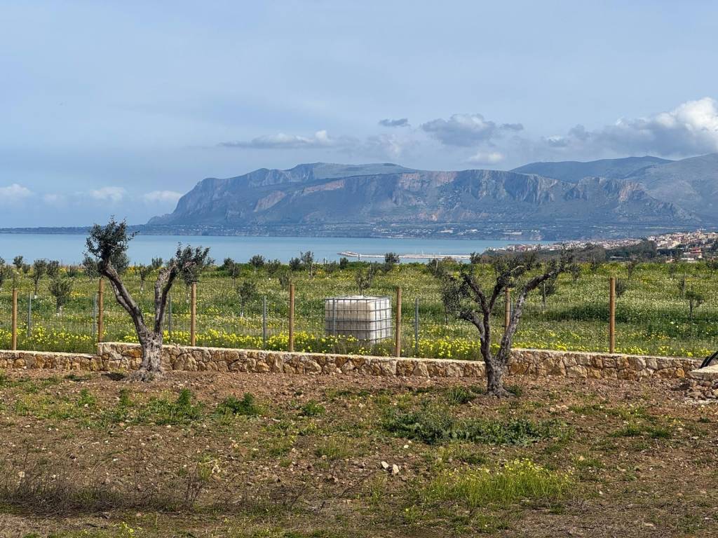 Terreno a Alcamo - Foto 3