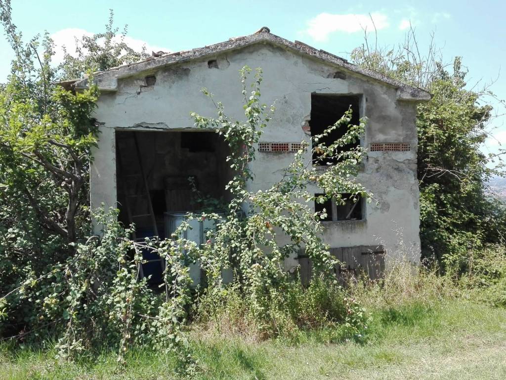 Villa a Controguerra - Foto 5