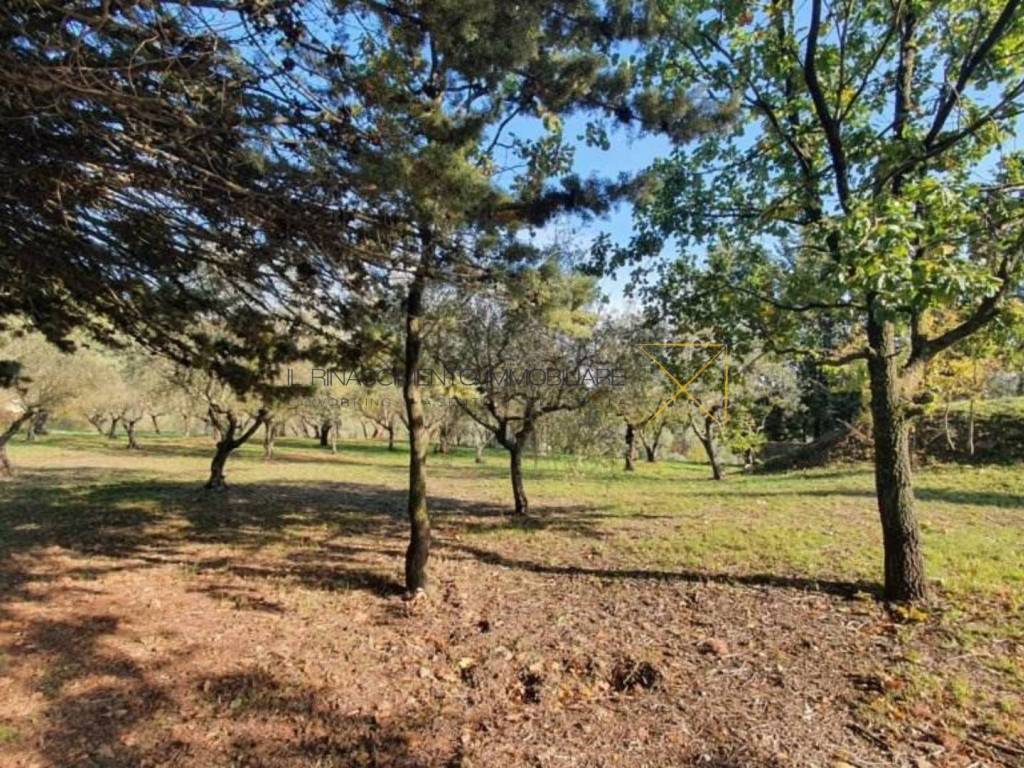Villa a Bevagna in Via delle Pianate San Sisto - Foto 4