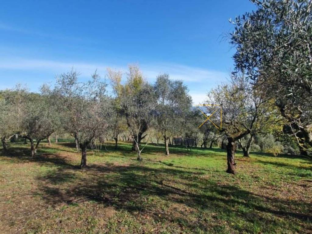 Villa a Bevagna in Via delle Pianate San Sisto - Foto 5