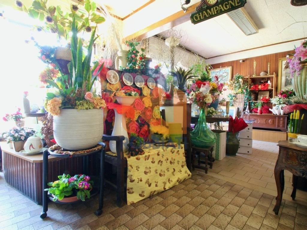Villa a Pavia in Via Fasolo - Foto 2