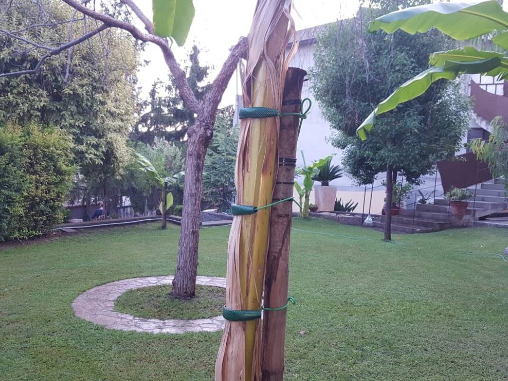 Appartamento a Simeri crichi in Via Pitagora, 11 - Foto 2