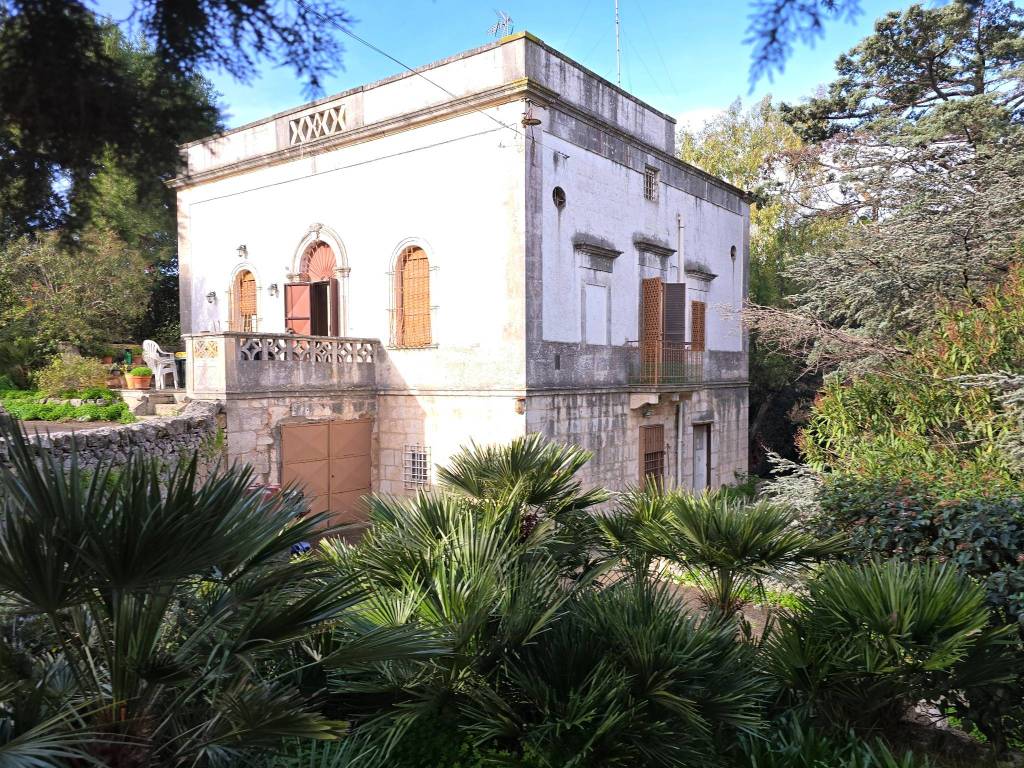 immagine di copertina