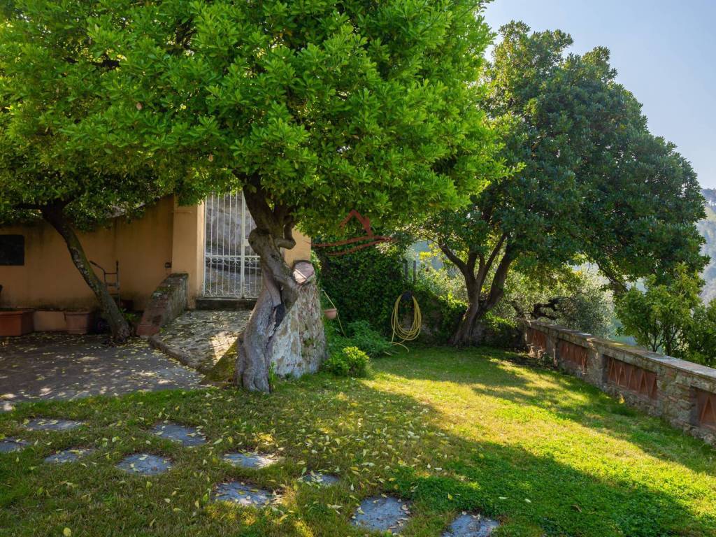 Casa indipendente a Massarosa - Foto 4