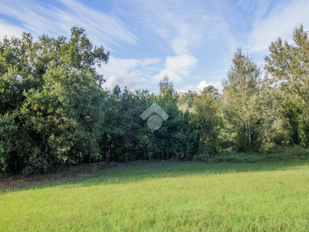 Terreno a Selci in Via buco - Foto 3